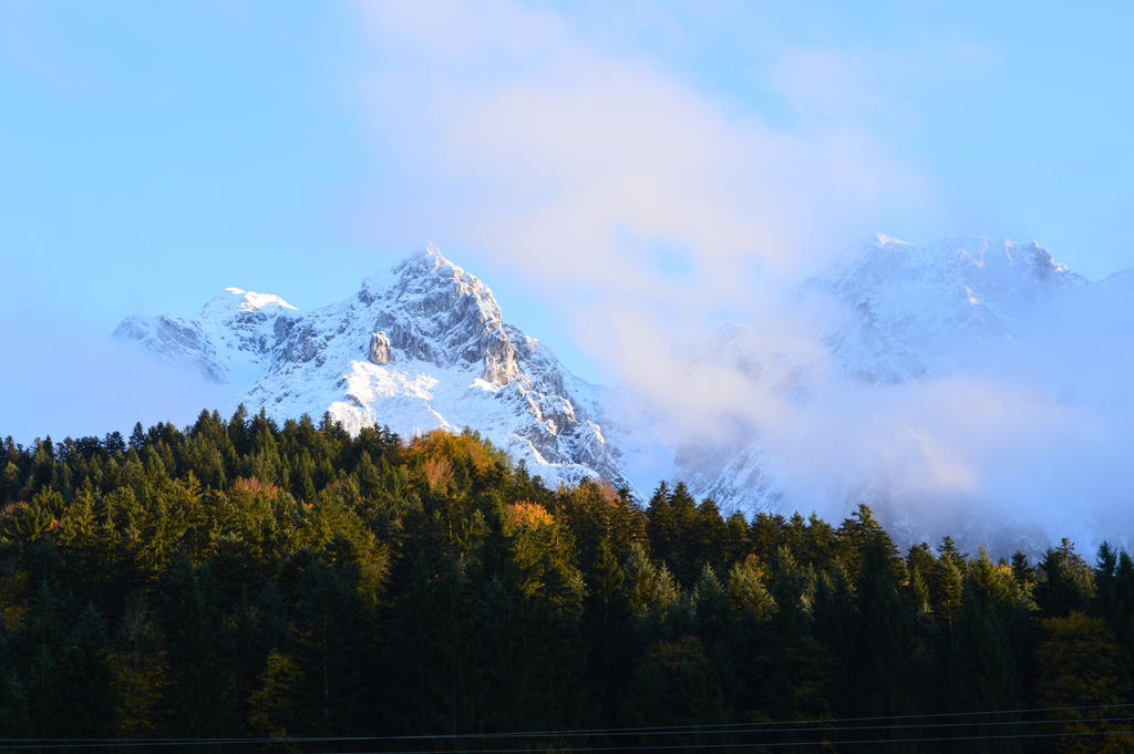 Landgasthof Ledererwirt Ebbs Bagian luar foto